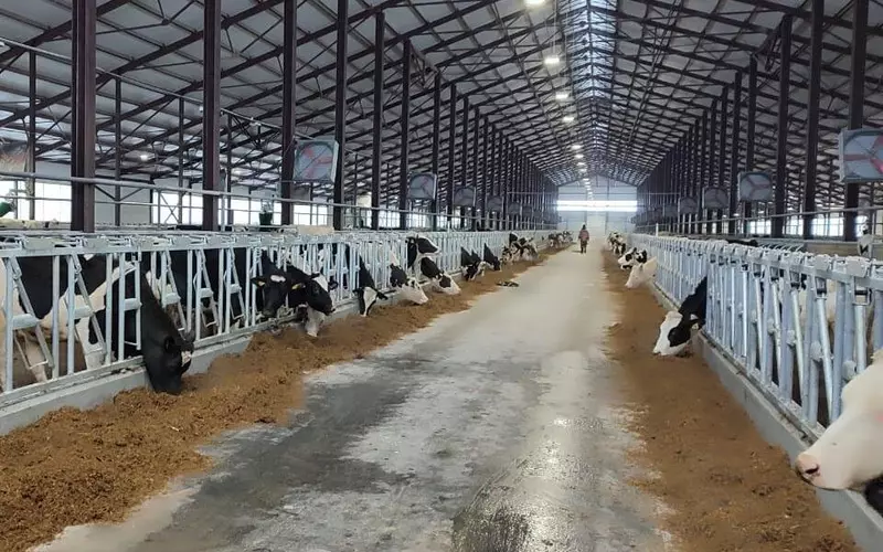 В Касимовском районе Рязанской области завершен первый этап строительства фермы на 2000 коров