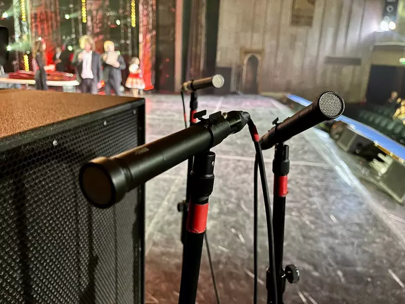 Иллюстрация №2 для поста «Импортозамещение: Более 5000 участников конкурса МиР Музыка и Развитие спели в тульские микрофоны Октава»