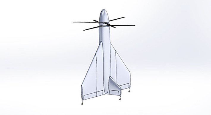 Беспилотный летательный аппарат тейлситтер "Фазан"