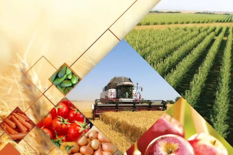 Крым достиг самообеспеченности по производству пшеницы свинины и фруктов