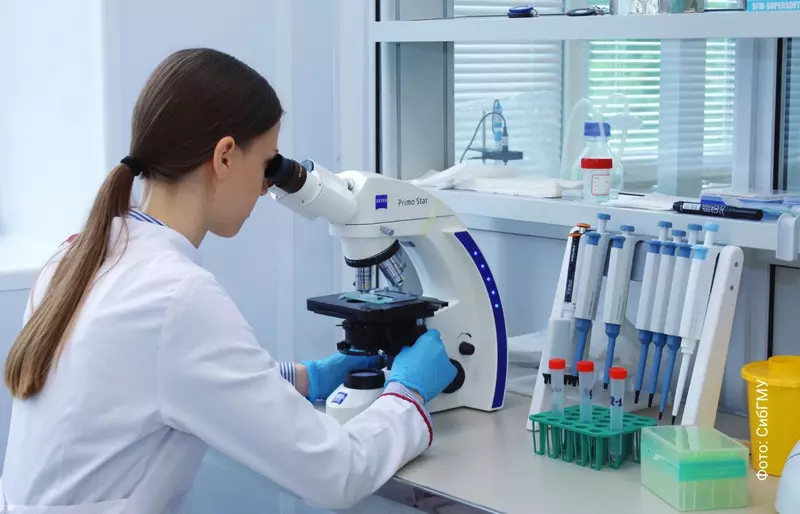 Иллюстрация 2 для «образование: Лабораторию по выращиванию клеток вне организма открыли в СибГМУ»