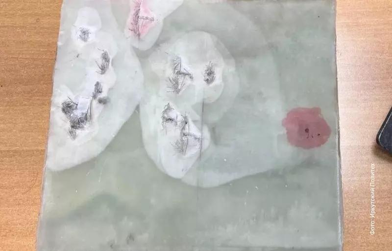 Картинка №2 для статьи «НИОКРы: Композиционные материалы повышенной ударопрочности разработали в Иркутске»