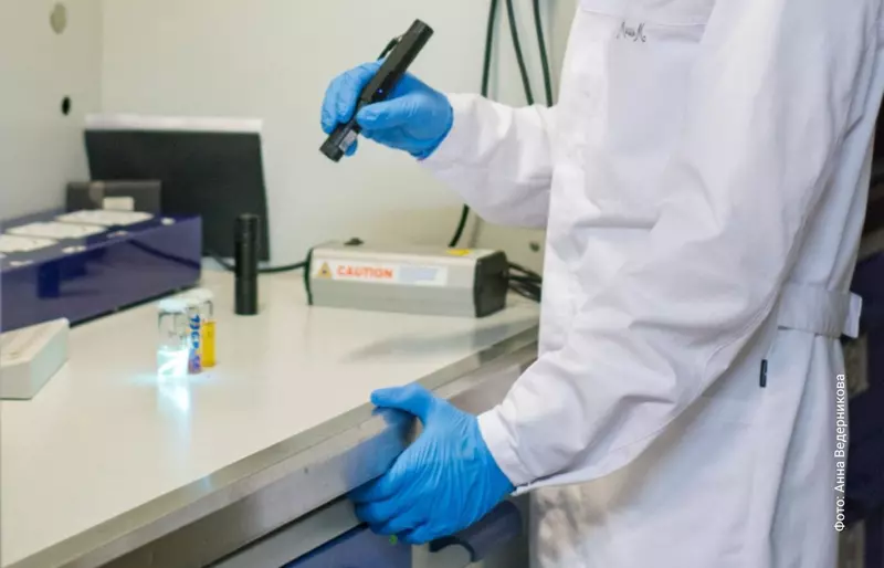 Фото #2 для статьи «наука: Новые светодиоды сделали из углеродных точек»