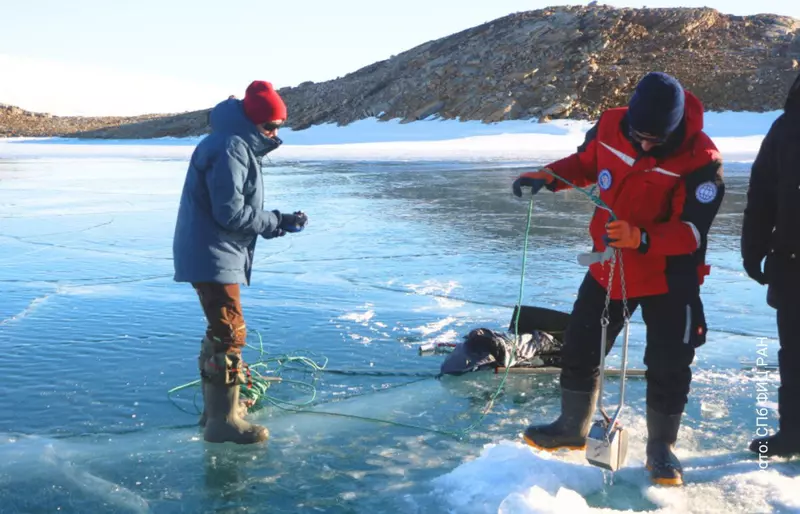 Иллюстрация #5 для статьи «Российские лимнологи исследовали подводные экосистемы 40 озер Антарктиды»
