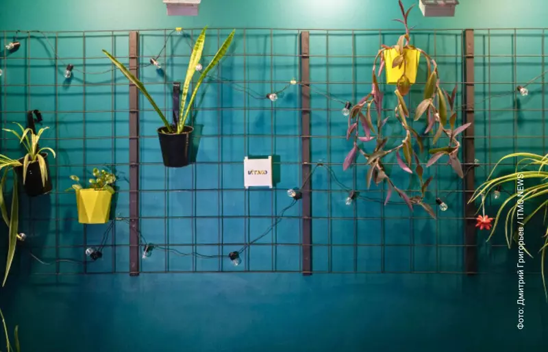 Первую в России технологию беспроводного питания устройств и умного дома создали в ИТМО