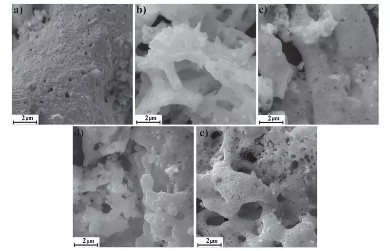 №1 для «Наука: Разработан материал для систем очистки воды и устройств магнитной памяти»