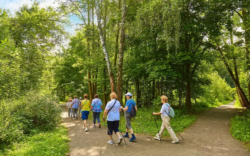 Иллюстрация 5 для статьи «Ход реставрации усадьбы Кузьминки в Москве»