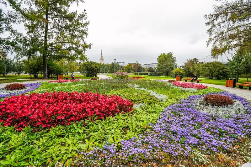 Картинка #6 для новости «В Москве завершили благоустройство Парка имени 40 летия ВЛКСМ»
