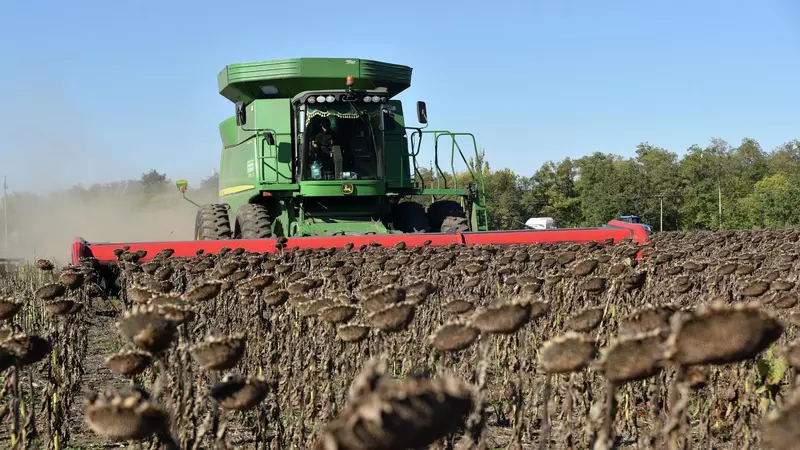 Россия собрала рекордные 25 65 миллиона тонн масличных культур в 2022 году