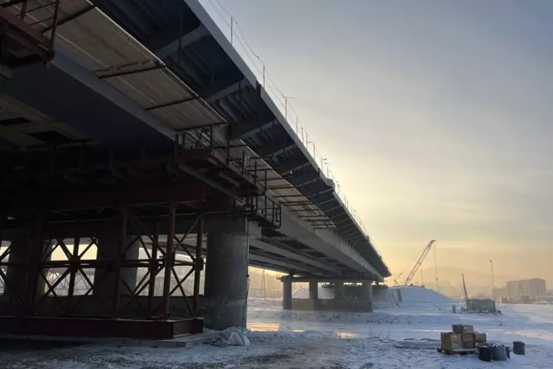 Фото 14 для новости «10 строящихся мостов обзор строительства»