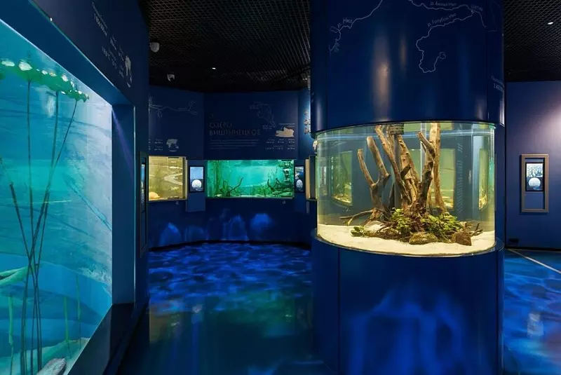 Фото 7 для статьи «В Калининграде открылся новый корпус Музея Мирового океана Планета Океан»