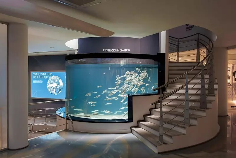 Картинка №8 для «В Калининграде открылся новый корпус Музея Мирового океана Планета Океан»
