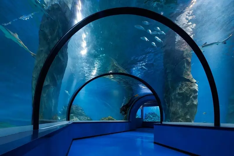 #4 для «Калининград: В Калининграде открылся новый корпус Музея Мирового океана Планета Океан»