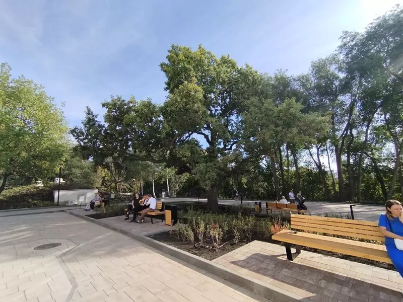 Фото №11 для статьи «После реставрации в Самаре открыли Дом со слонами»