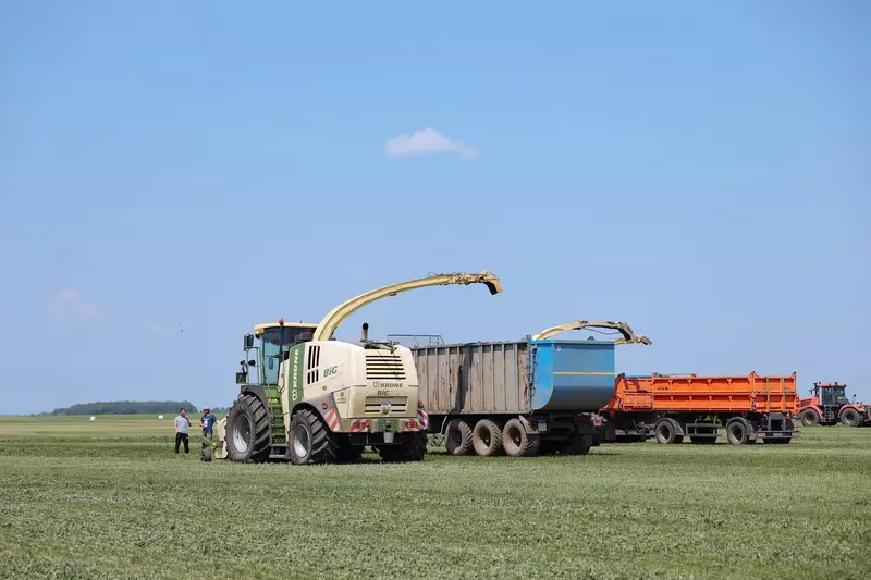 Картинка 2 для новости «производство молока: Вторая очередь крупной молочной фермы запущена в Амурской области»