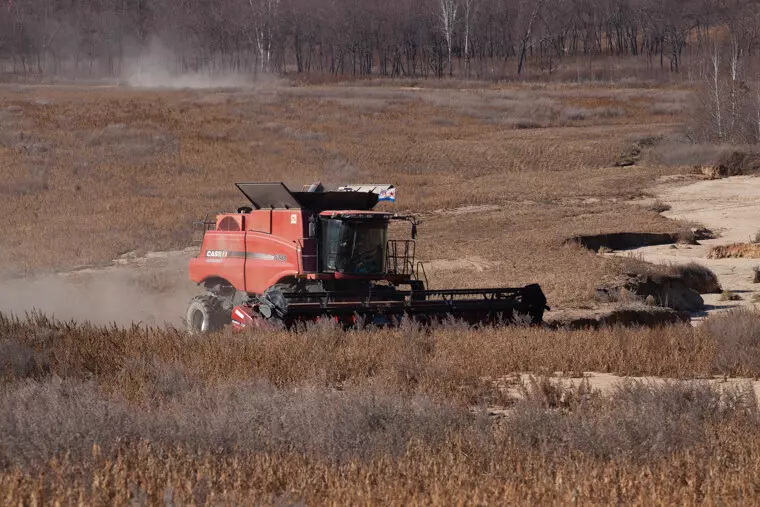 Фото №2 для публикации «соя: Амурская область собрала рекордный урожай сои»