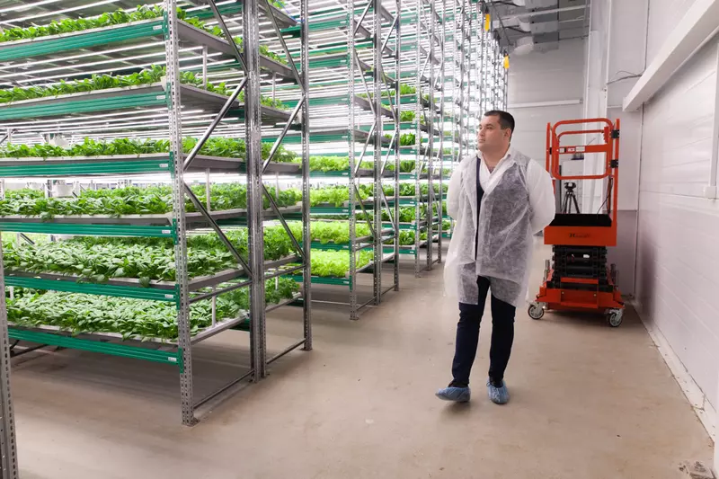 Изображение 2 для «тепличный комплекс: В Амурской области на комбинате Тепличный запущена новая салатная линия»