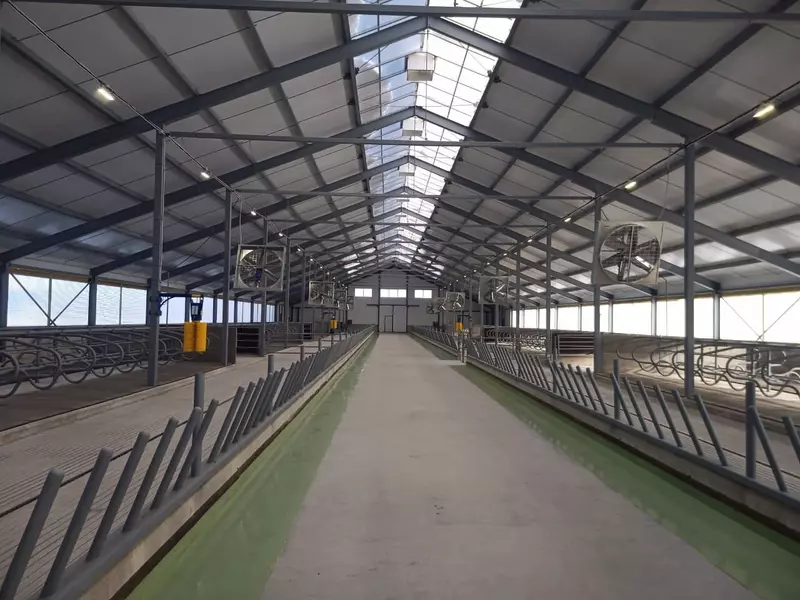 ПЗ Красноозёрное в Ленинградской области запустил новые коровники и доильный зал