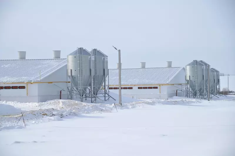 ГК АГРОЭКО открыла в Тульской области новый свиноводческий комплекс