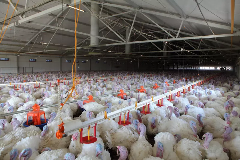 Новые предприятия АПК и пищевой промышленности в апреле 2023 года