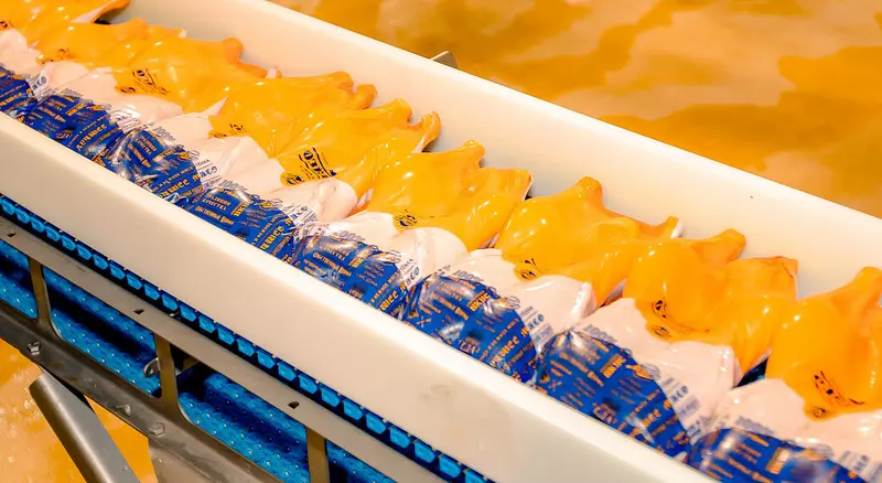 Иллюстрация №1 для новости «Подписан договор...: Дамате первой в России получила право экспорта мяса утки в Гонконг»