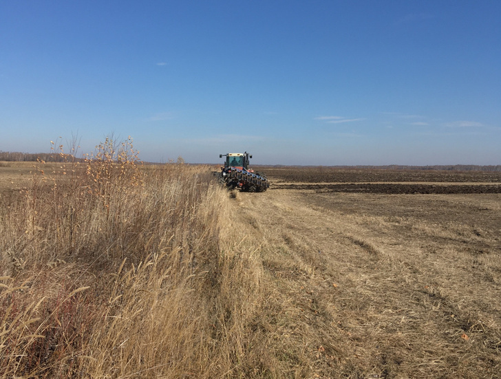 Свыше 20 тысяч гектаров залежных земель ввели в сельхозоборот в Подмосковье с 