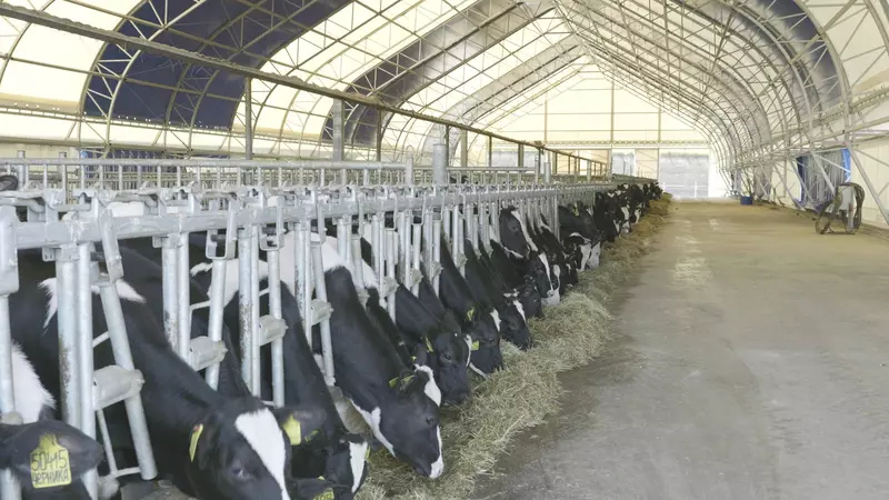 Картинка №3 для новости «производство: Артур Мовсесян ничего так быстро не строится как каркасно тентовые здания»