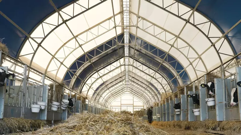 Иллюстрация #2 для новости «строительство: Артур Мовсесян ничего так быстро не строится как каркасно тентовые здания»