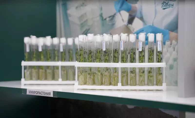 В Северной Осетии открыли новый селекционно семеноводческий центр