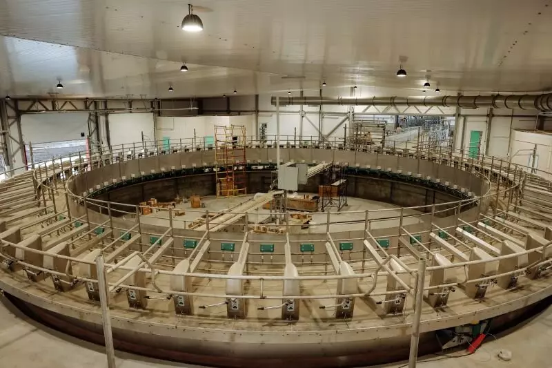 Картинка №14 для «Новые предприятия АПК и пищевой промышленности в сентябре октябре 2024 года»