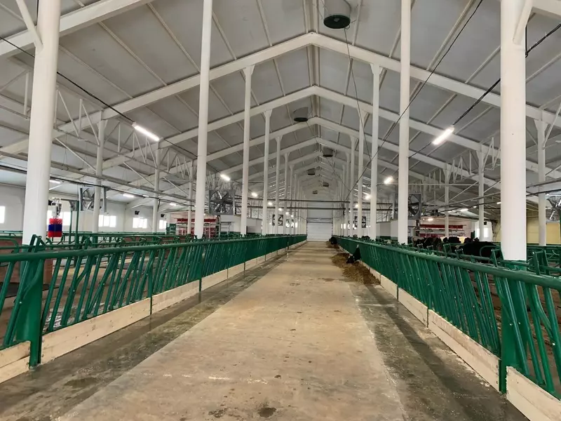 В Удмуртии открыта роботизированная ферма