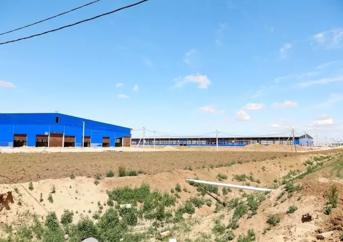 #2 для поста «производство молока: В Амурской области ввели в эксплуатацию первую очередь животноводческого комплекса на 1570 коров»