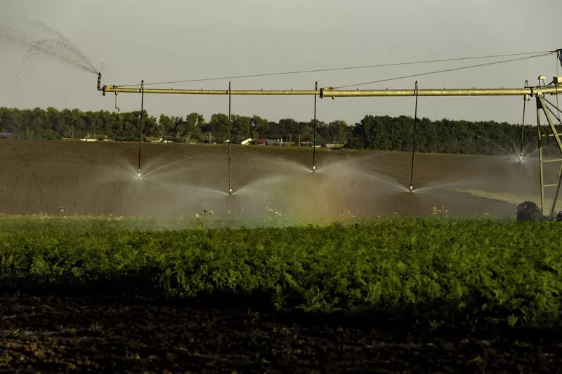 Картинка #2 для статьи «