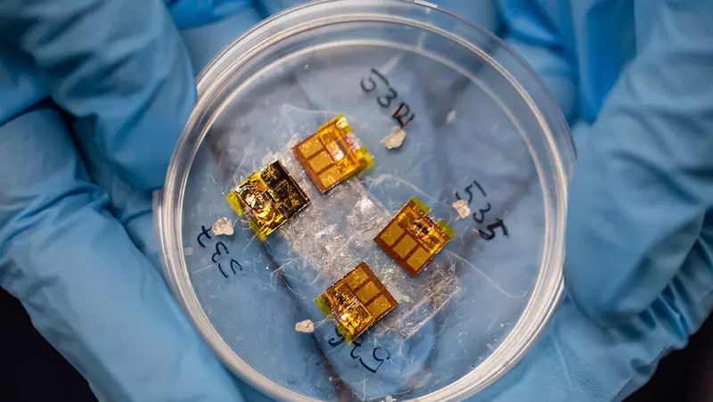 Фото: НИЦ Курчатовский Институт