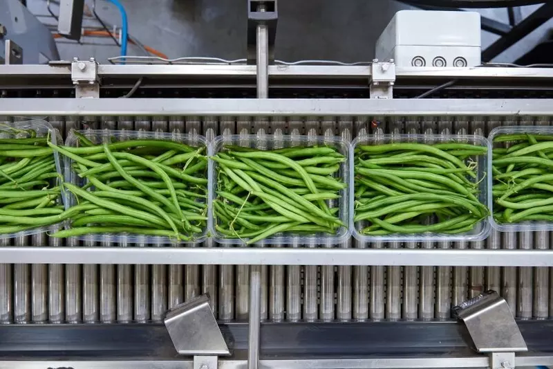 №6 для поста «В Тульской области запущен комплекс по выращиванию и переработке гороха и фасоли»