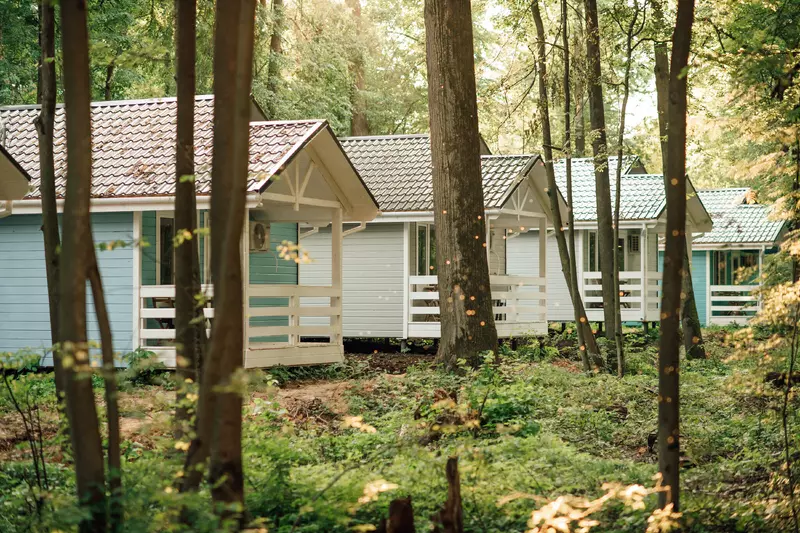 Изображение №12 для статьи «Усадьба Гребнево Изменения за последние 5 лет и фото до и после»