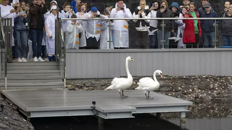 Изображение 3 для публикации «Экология: Глобальное преображение Московского НПЗ»