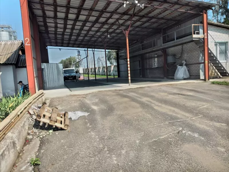 Растениеводство является одной из основных отраслей сельского хозяйства в Курской области. В регионе выращиваются различные культуры, такие как зерновые, овощи, фрукты и ягоды.-5