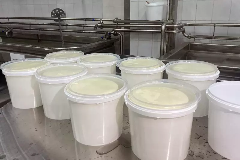 Иллюстрация 2 для статьи «переработка молока: Во Владимирской области вновь заработал молочный завод»