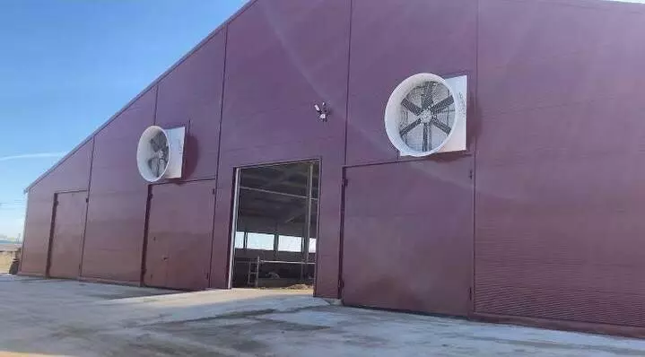 Картинка #5 для публикации «Во Владимирской области запущен молочный комплекс на 1200 голов КРС»