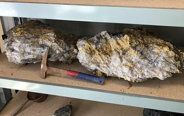 В России за 2024 год открыто 229 месторождений золота