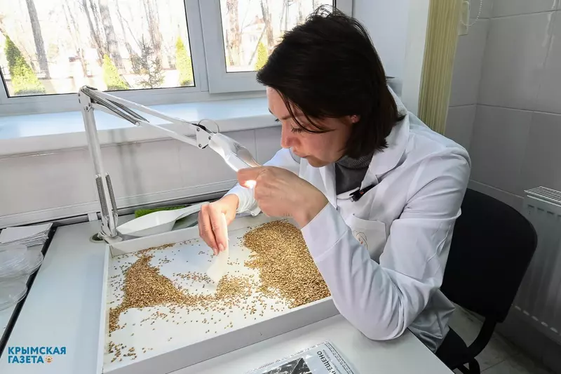 В Крыму открылась уникальная лаборатория для агропромышленного контроля