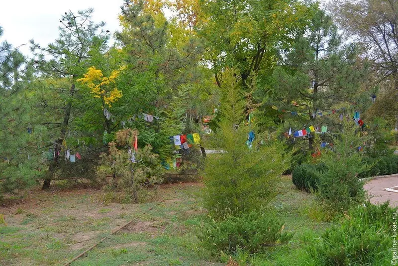 В России площадь лесовосстановления превысила площадь выбывших лесов на 18