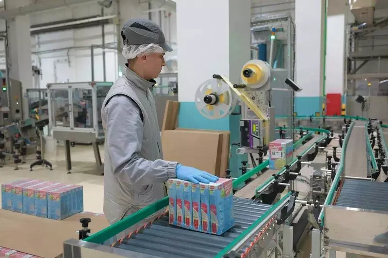 Фото №3 для статьи «Увельский район: В Челябинской области запустили комплекс по переработке зерна гречихи»