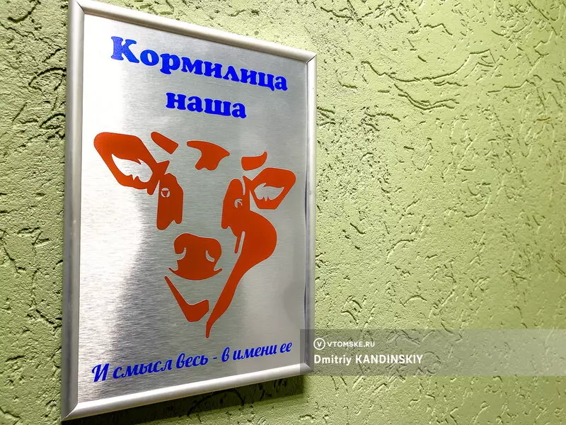 Иллюстрация 14 для публикации «Самая крупная молочная ферма открылась в Томской области»