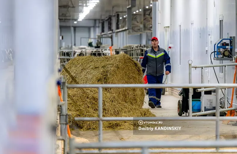 Изображение 9 для статьи «Самая крупная молочная ферма открылась в Томской области»