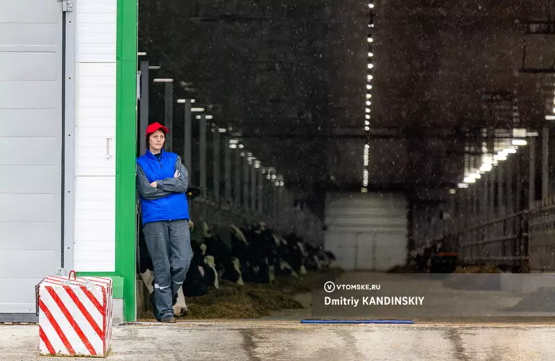 Картинка №2 для новости «Томская область: Самая крупная молочная ферма открылась в Томской области»