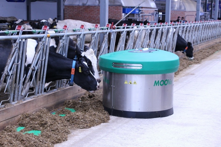 ЗАО Племзавод «Семеновский» открыло молочную ферму на 420 голов