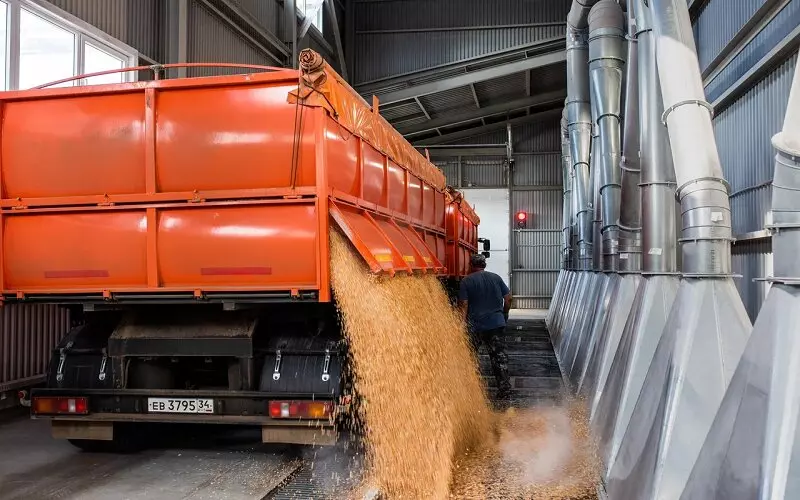 Иллюстрация 1 для поста «Статистика: Глубокая переработка зерна производство крахмалов растёт»