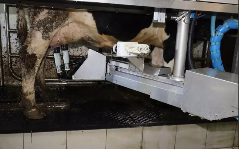 В Башкирии появился первый робот дояр российского производства